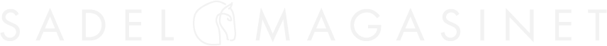 logo black sadleM