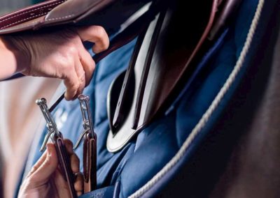 prestige 4 cropped